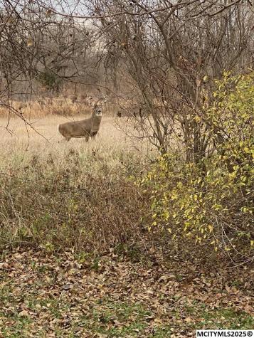 2048 12th NE Mason City IA 50401