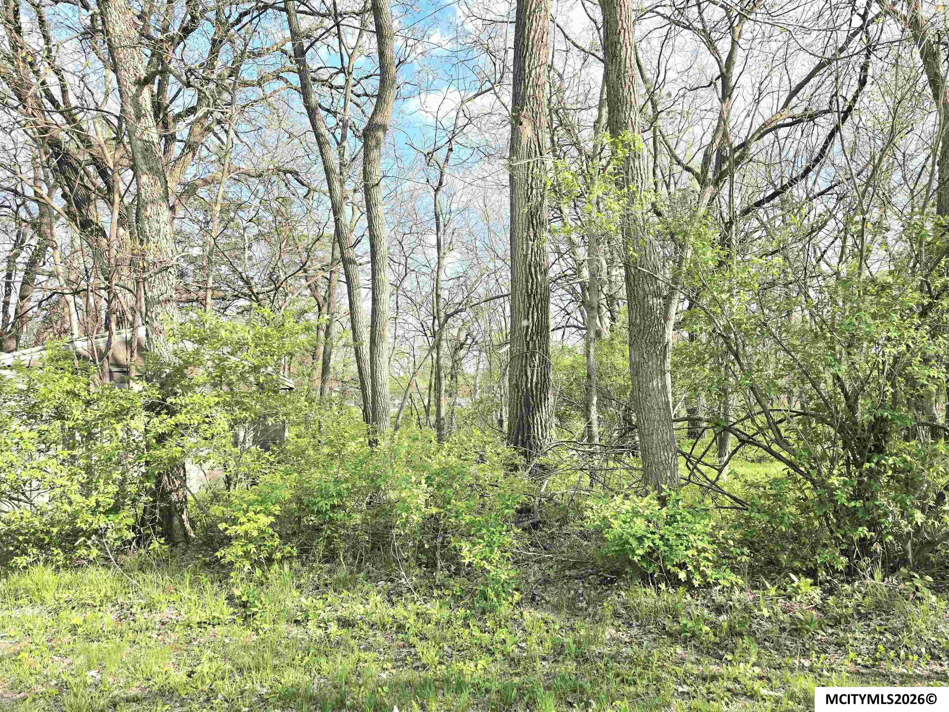 Lot 9-10 3rd Street SE Rockford IA 50468