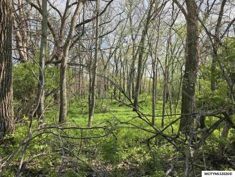 Lot 9-10 3rd Street SE Rockford IA 50468