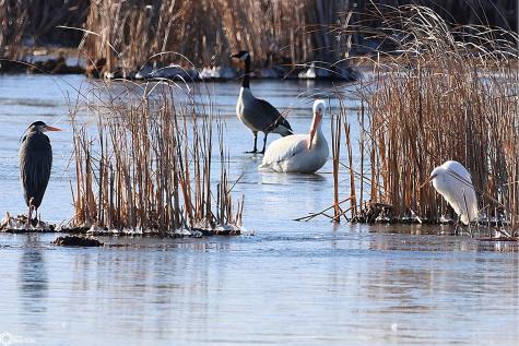 414 E Lake Street Ventura IA 50482