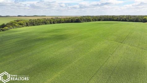 14941 165th Street Elma IA 50628