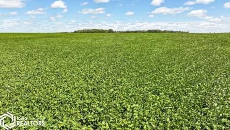 14941 165th Street Elma IA 50628