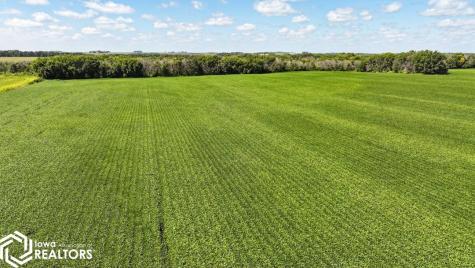 14941 165th Street Elma IA 50628