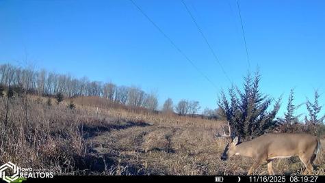 Red Ball Road Rockford IA 50468