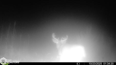 Red Ball Road Rockford IA 50468