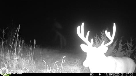 Red Ball Road Rockford IA 50468