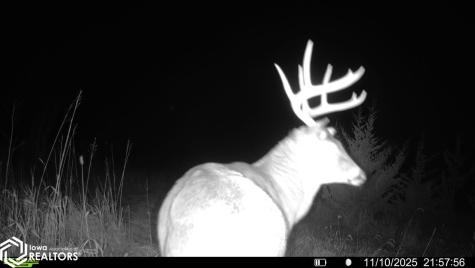 Red Ball Road Rockford IA 50468