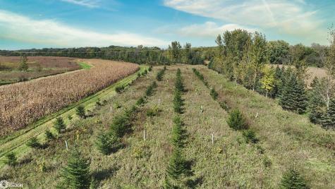 Red Ball Road Rockford IA 50468