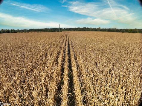 Red Ball Road Rockford IA 50468