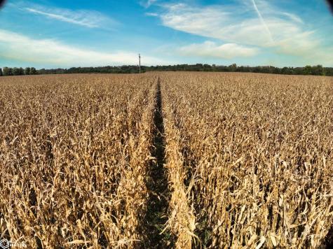 Red Ball Road Rockford IA 50468