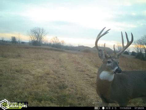 3215 305th Street Dows IA 50071