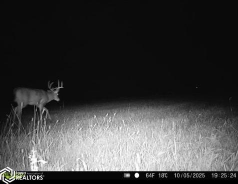 3215 305th Street Dows IA 50071