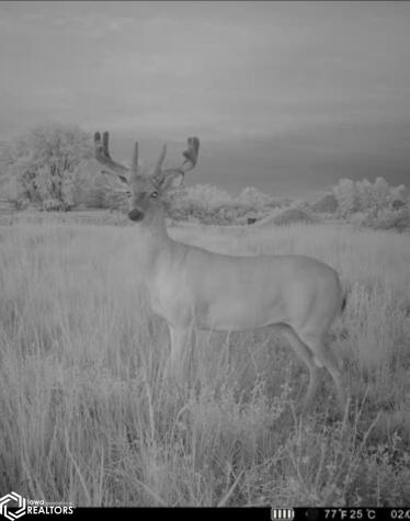 3215 305th Street Dows IA 50071