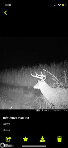 3215 305th Street Dows IA 50071