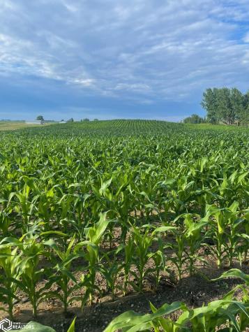 3215 305th Street Dows IA 50071