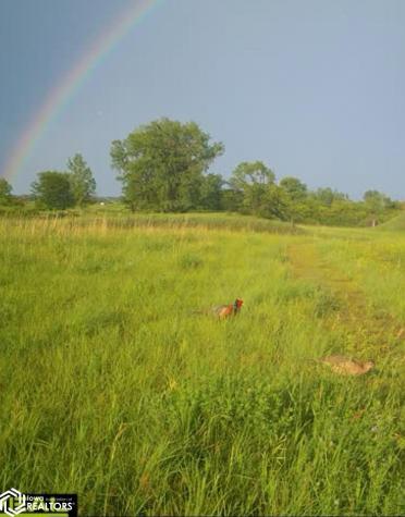 3215 305th Street Dows IA 50071