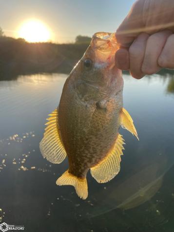 3215 305th Street Dows IA 50071