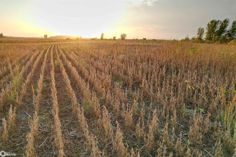 3215 305th Street Dows IA 50071