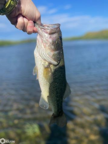 3215 305th Street Dows IA 50071