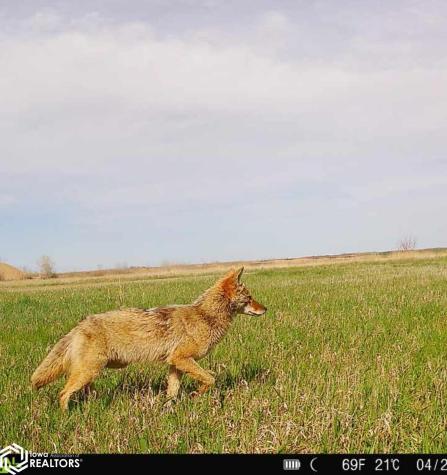 3215 305th Street Dows IA 50071