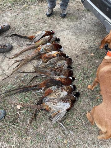 3215 305th Street Dows IA 50071