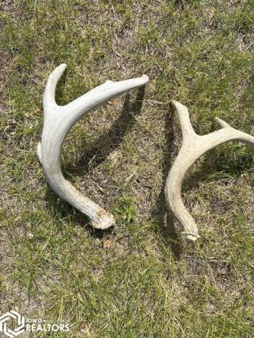 3215 305th Street Dows IA 50071