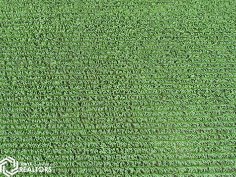 1336 160th Street Nora Springs IA 50458