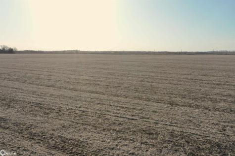 Vine Avenue Mason City IA 50401