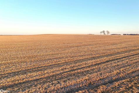 Vine Avenue Mason City IA 50401