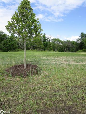 1006 Palisades Court Iowa Falls IA 50126