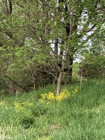 111 - 112 Bear Creek Court Forest City IA 50436