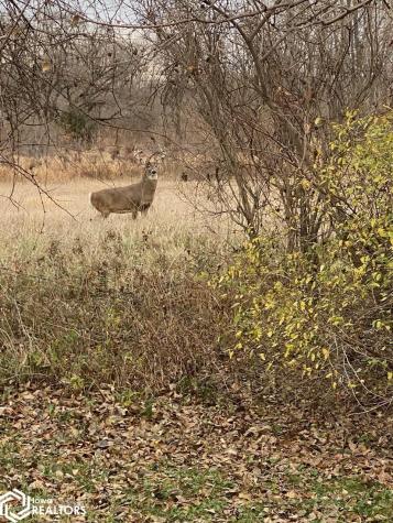 2048 12th Street NE Mason City IA 50401