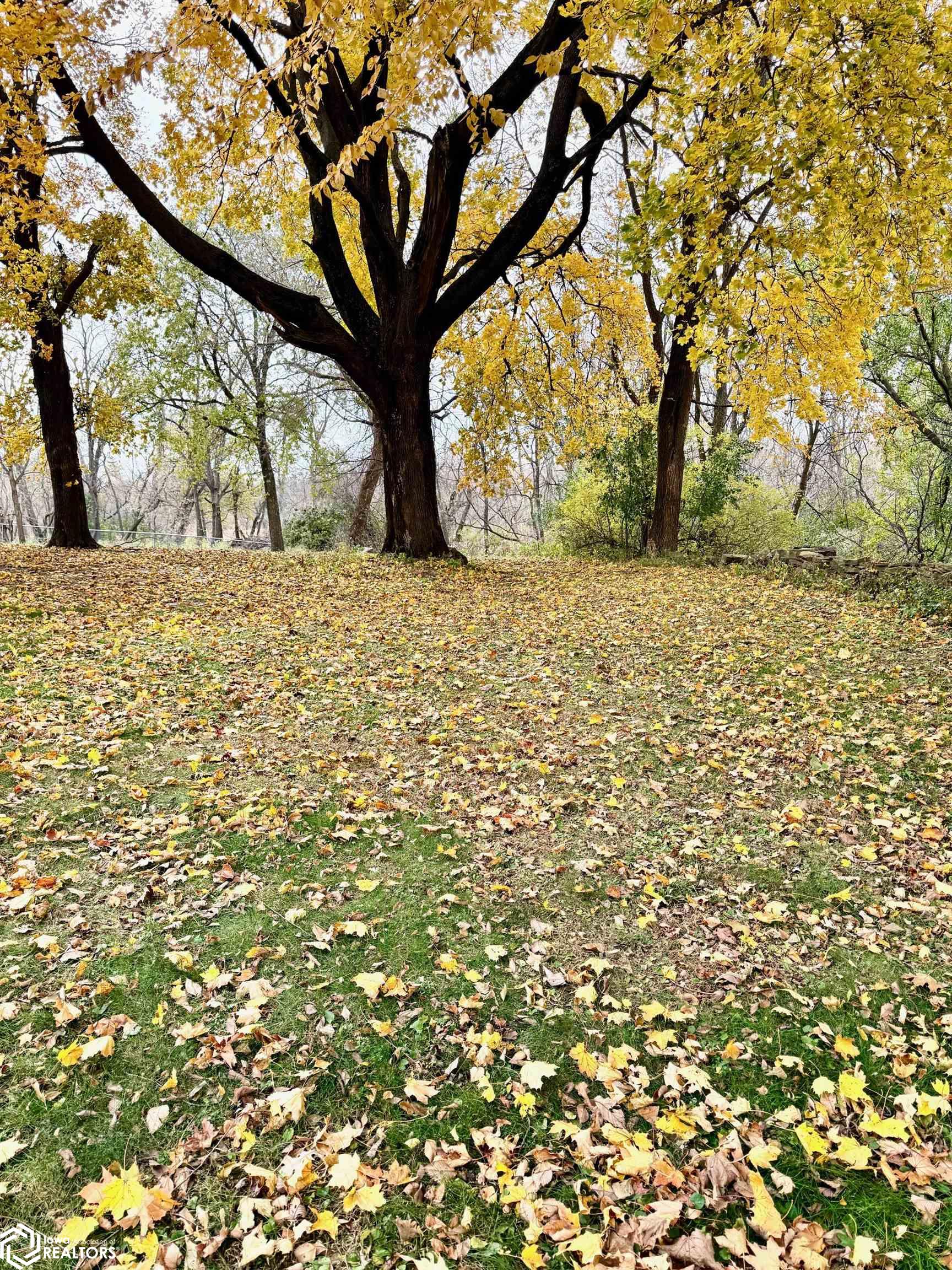 Na S 2nd Avenue Northwood IA 50459