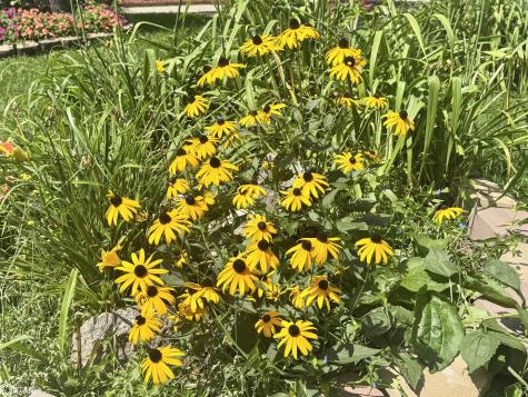 135 Westhaven Drive Forest City IA 50436