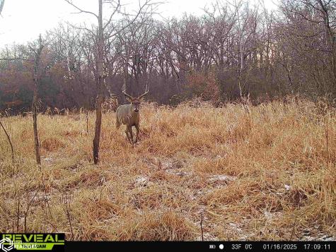 1250 440th Street Northwood IA 50459