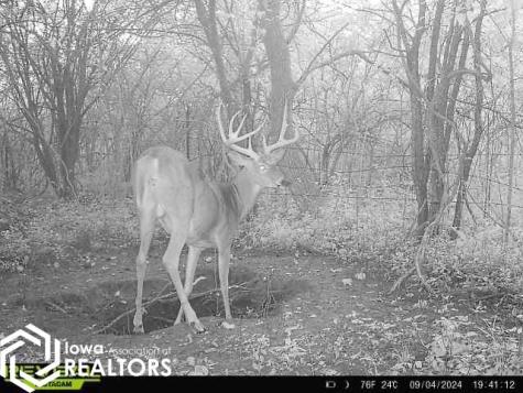 1250 440th Street Northwood IA 50459