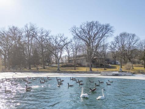 1155 165th Street Nora Springs IA 50458