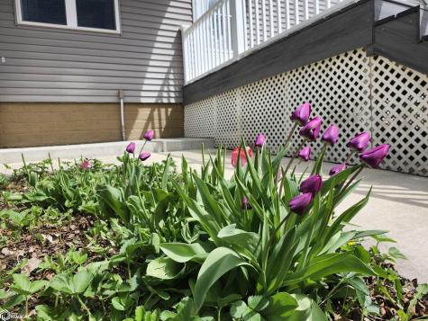 1026 Pleasant Street Forest City IA 50436
