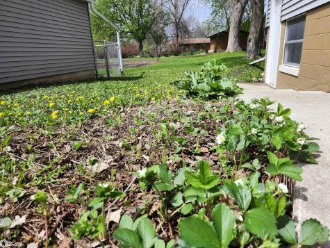 1026 Pleasant Street Forest City IA 50436