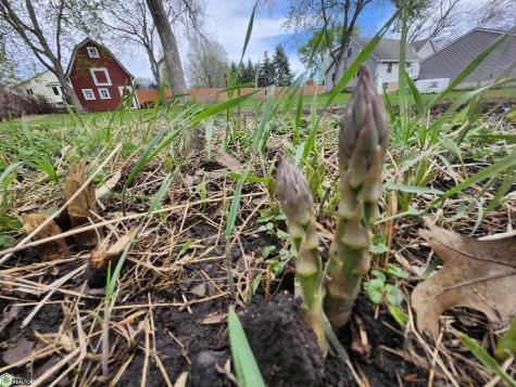 1026 Pleasant Street Forest City IA 50436