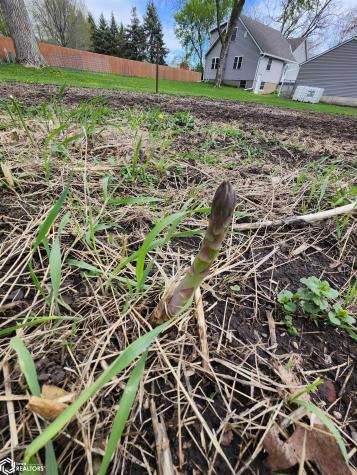 1026 Pleasant Street Forest City IA 50436
