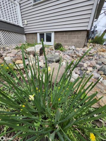 1026 Pleasant Street Forest City IA 50436