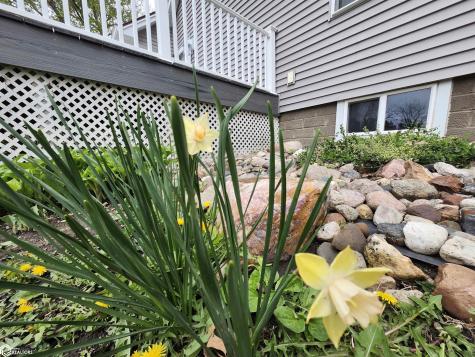 1026 Pleasant Street Forest City IA 50436