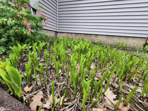 1026 Pleasant Street Forest City IA 50436