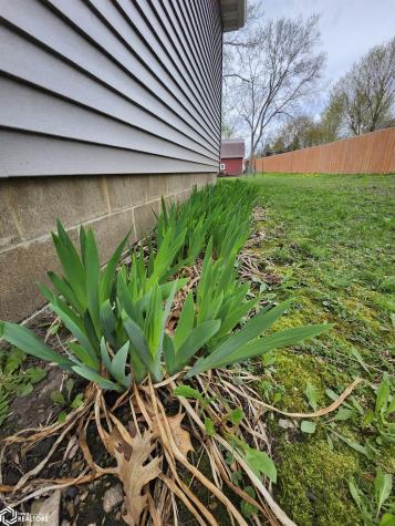 1026 Pleasant Street Forest City IA 50436