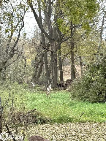 901 S 2nd Avenue Northwood IA 50459