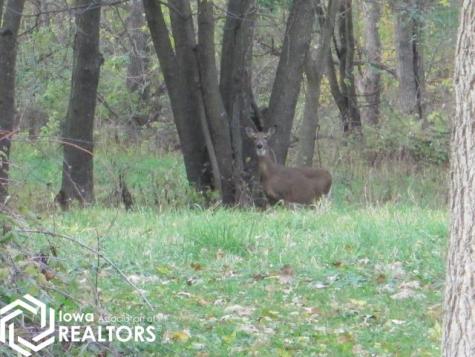 312 1st Street NW Belmond IA 50421