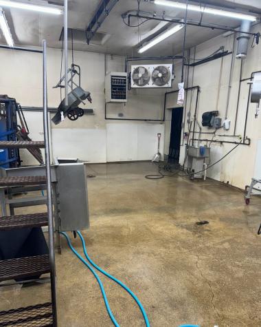 304 Chapin Street Ivesdale IL 61851