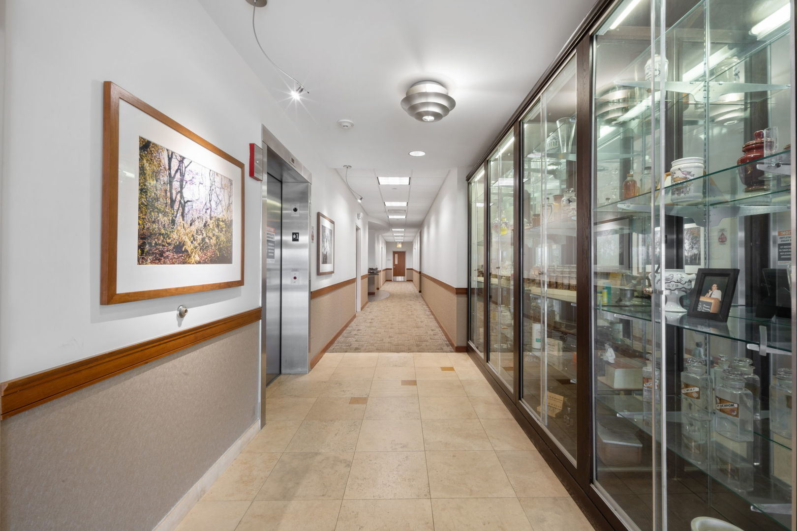 1247 Rickert Drive Naperville IL 60540