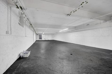 7055 North Clark Street Chicago IL 60626